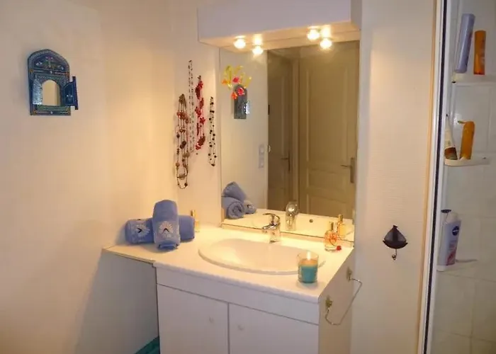 בית אירוח - Proche Du Centre - Salle D'eau Et Wc Prives בורדו