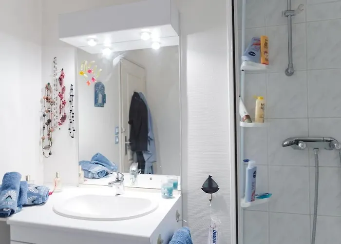 - Proche Du Centre - Salle D'eau Et Wc Prives * בורדו