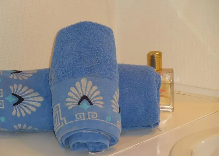 - Proche Du Centre - Salle D'eau Et Wc Prives בית אירוח