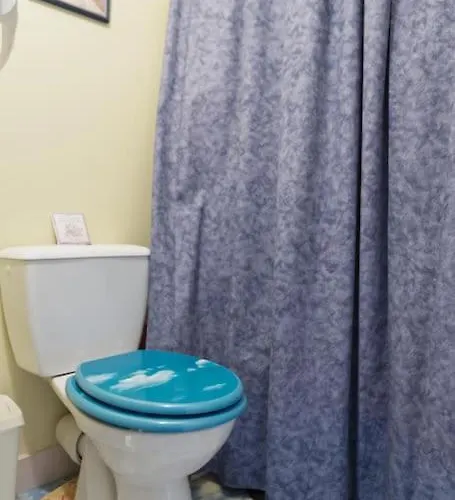 - Proche Du Centre - Salle D'eau Et Wc Prives * בורדו